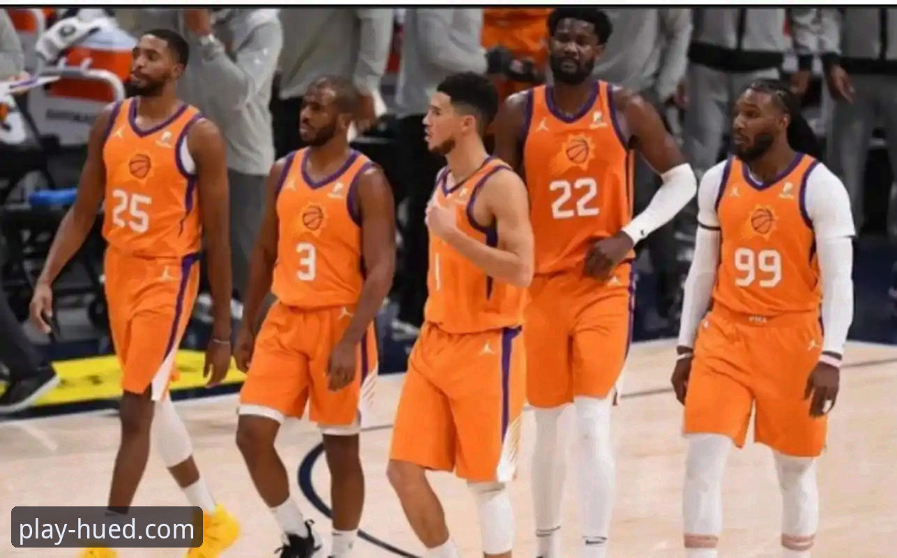 虎德体育直播流畅度与安全性全面解析：ued体育官网平台用户体验深度观察